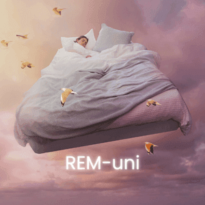 Mis on REM-uni